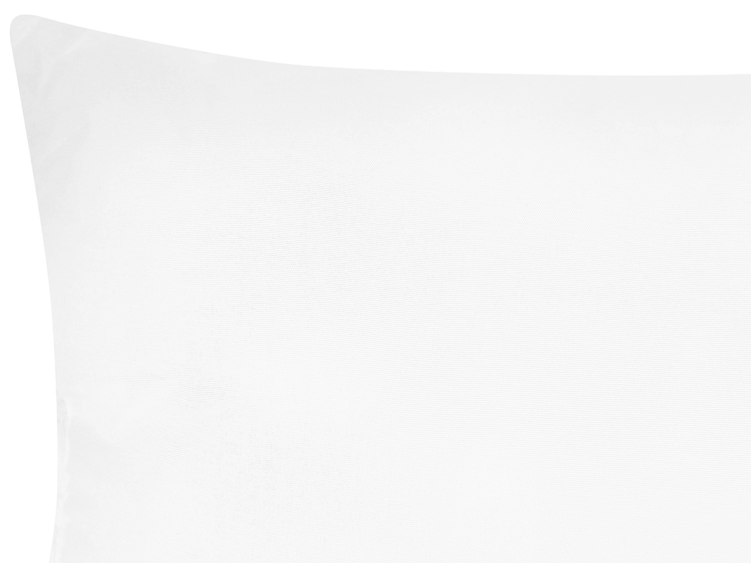 Beliani ERRIGAL Oreiller Microfibre Lot de 2  