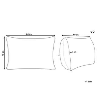 Beliani ERRIGAL Oreiller Microfibre Lot de 2  