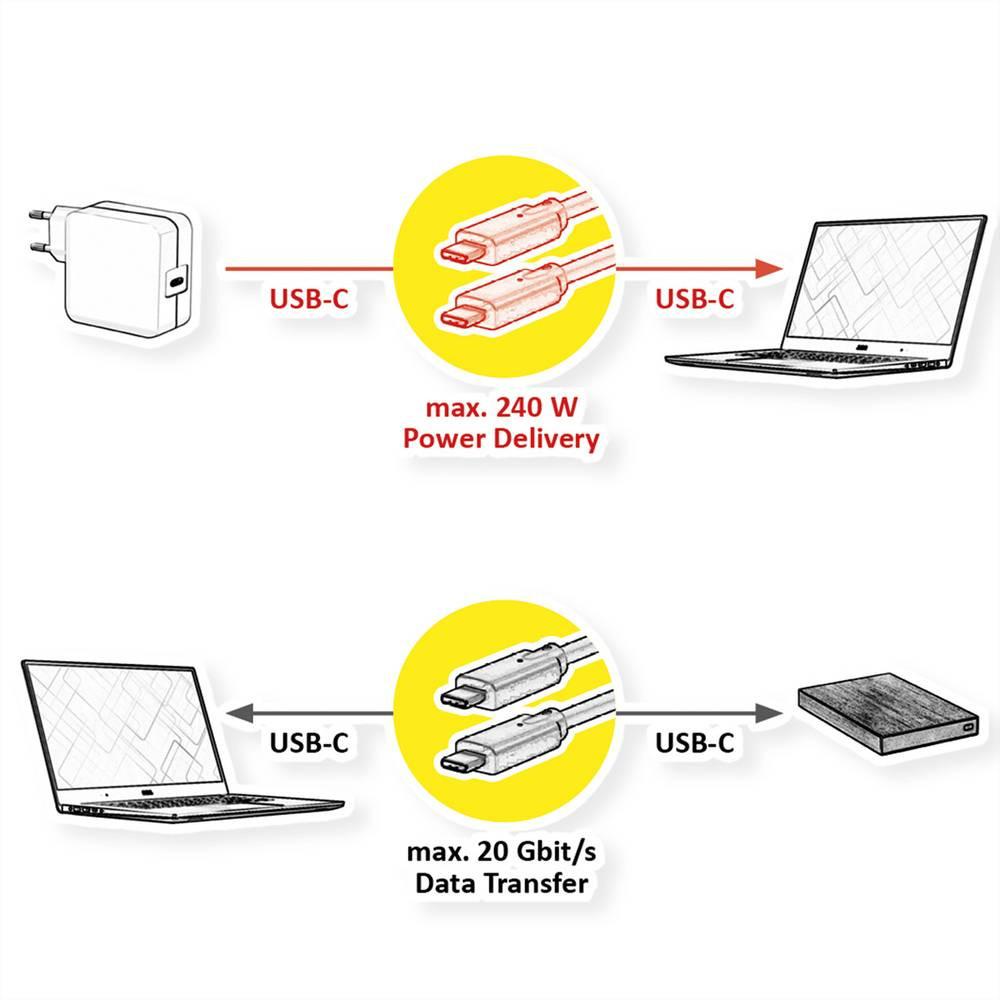 Value  Câble USB4 Gen2x2, 20 Gbits/s, 240 W, 2 M 