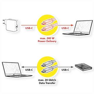 Value  Câble USB4 Gen2x2, 20 Gbits/s, 240 W, 2 M 