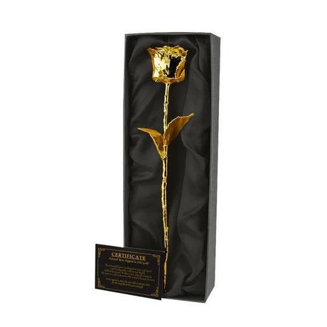Mikamax Rosa dell'eternità placcata oro in confezione regalo  
