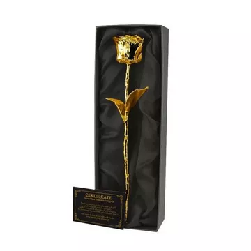 Vergoldete Unsterblichen Rosen in Geschenkbox