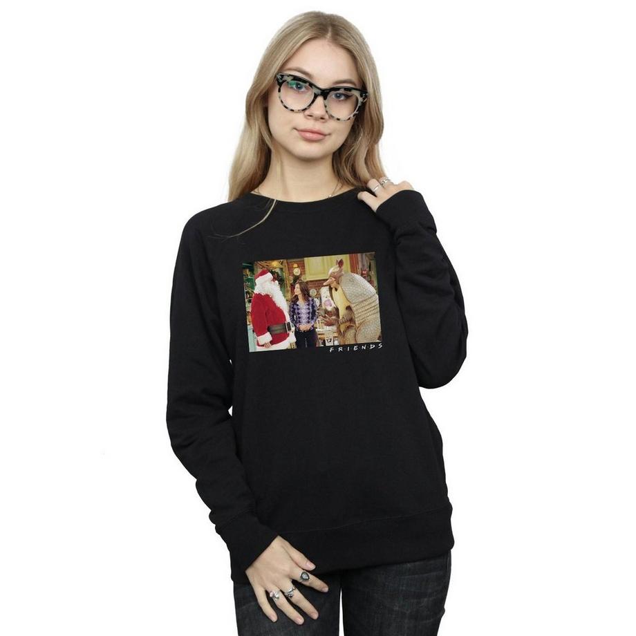 Friends The Holiday Armadillo Sweatshirt  