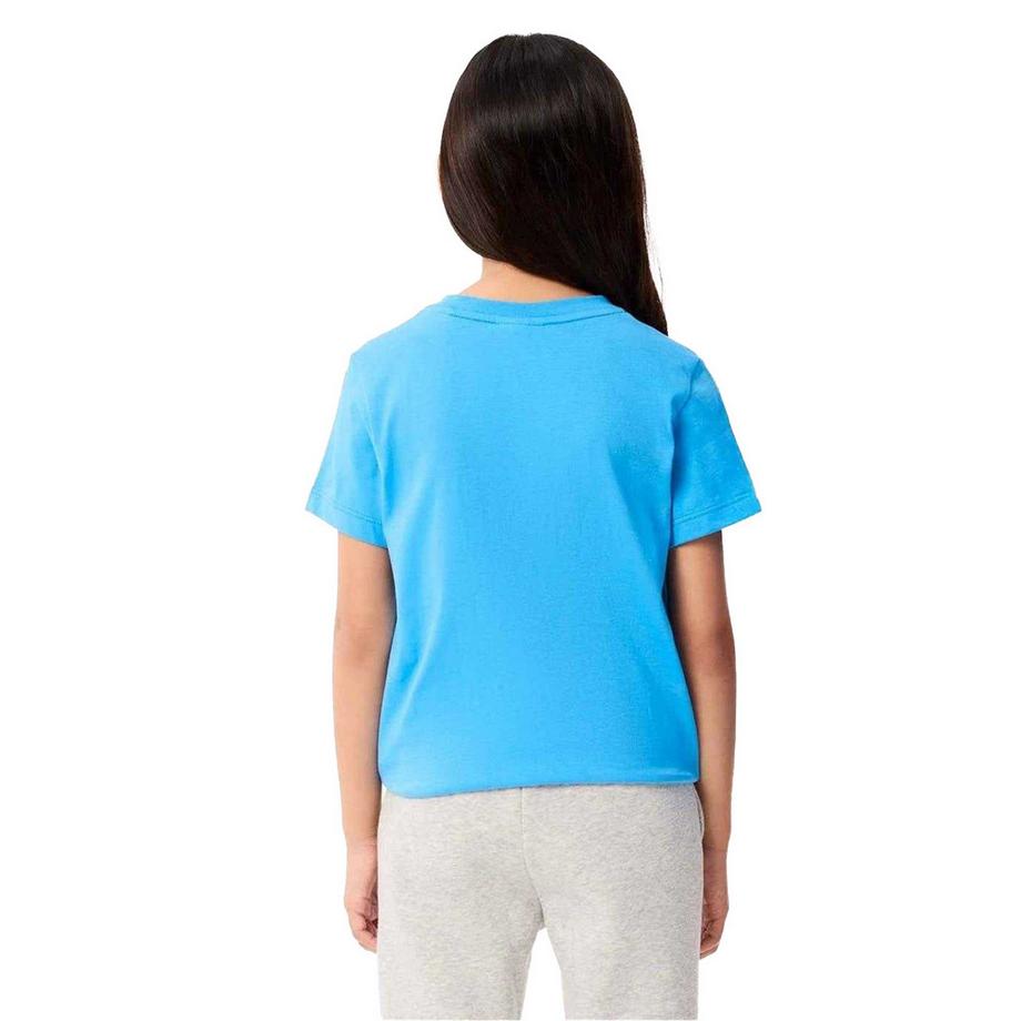 LACOSTE  T-ShirtMotiftyle Brodé Basic 