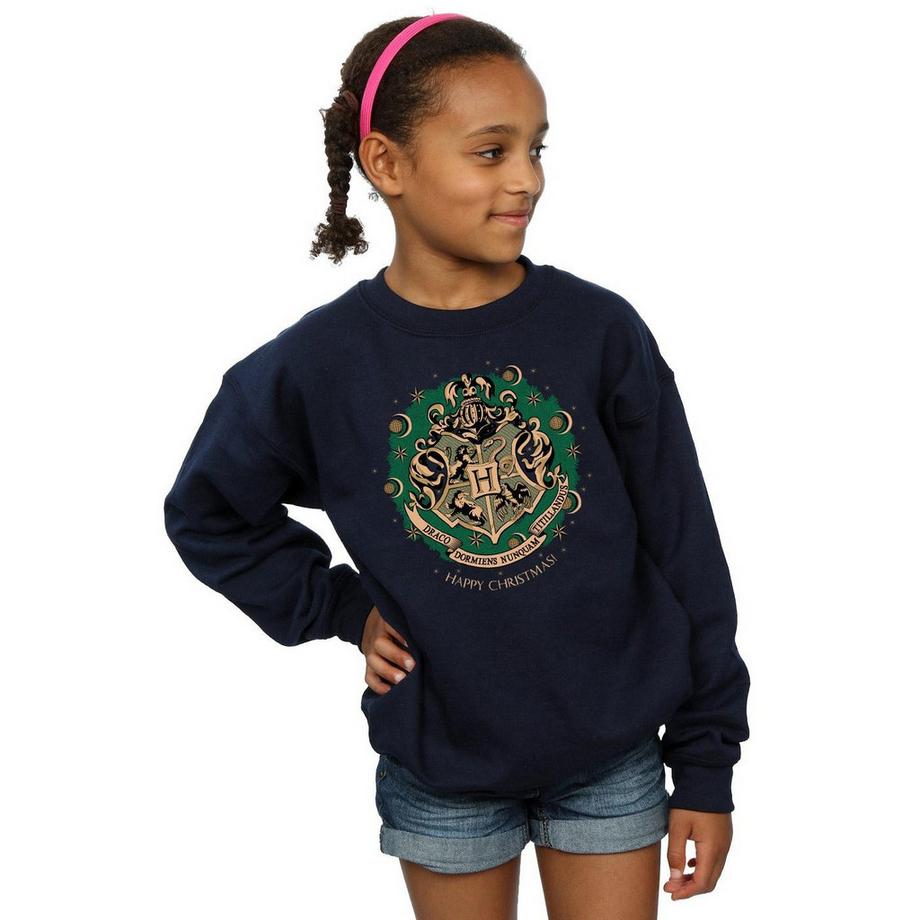 Harry Potter  Sweatshirt 