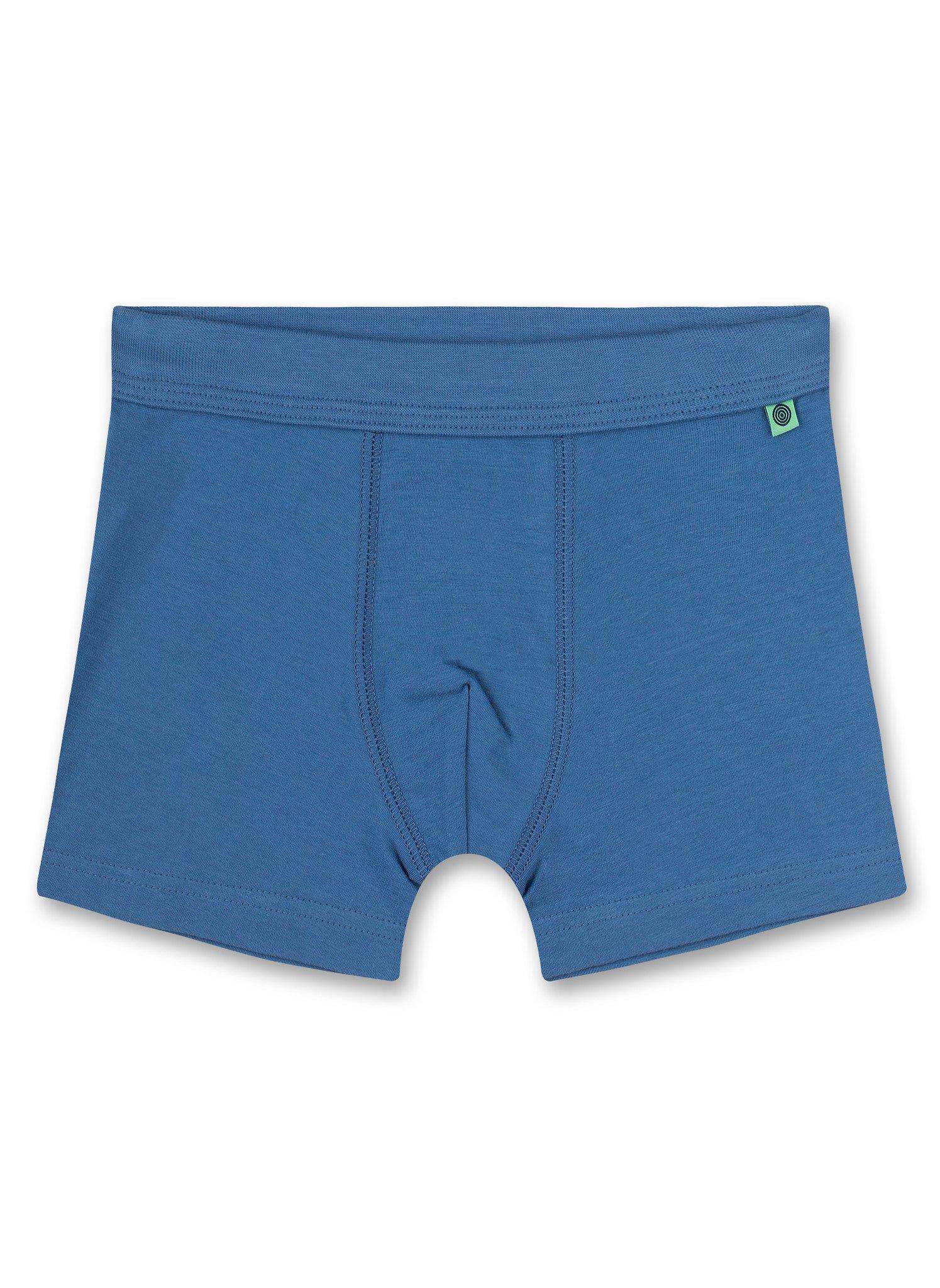 Sanetta  Jungen-Shorts (Doppelpack) Blau Auto 