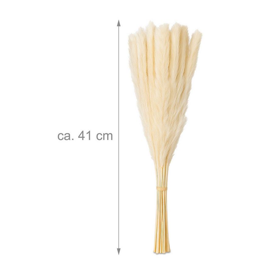 Northix Set di erba di pampa essiccata, 144 pezzi  