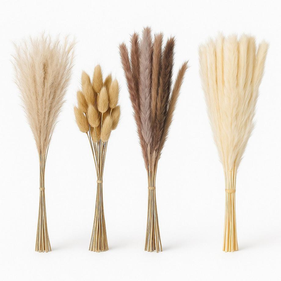 Set di erba di pampa essiccata, 144 pezzi