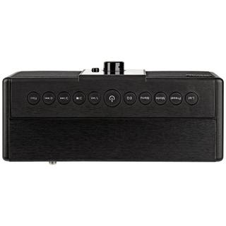 Telestar  Internet Tischradio 