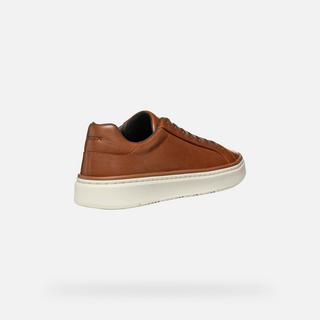 GEOX  sneakers zackerty 