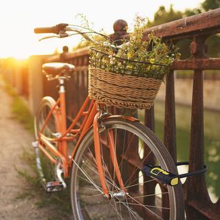 B2X Bügelschloss mit Zahlenkombination  