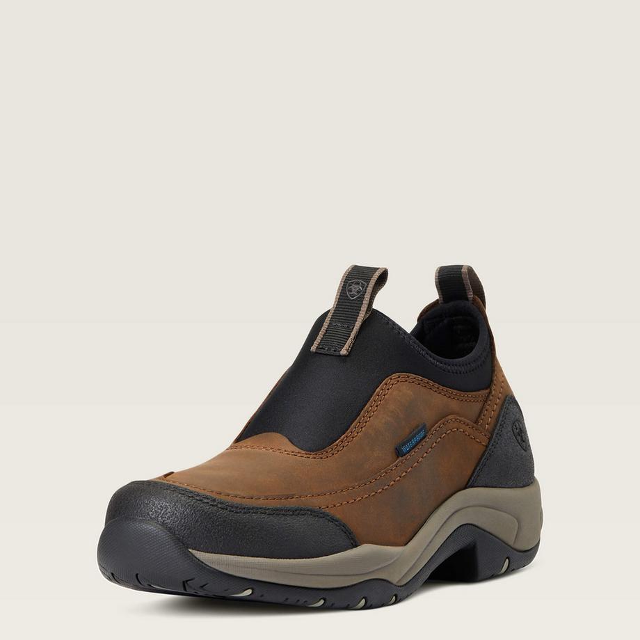 Ariat  wasserdichte stiefeletten frau  terrain ease h2o 