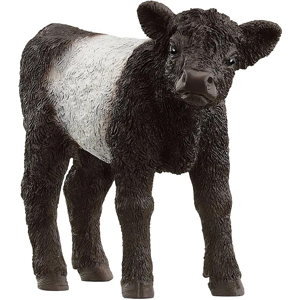 Image of Galloway Kalb