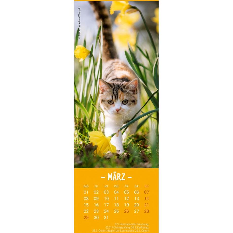 Heye Lesezeichen-Kal. Katzen 2027 21474+27 DE  