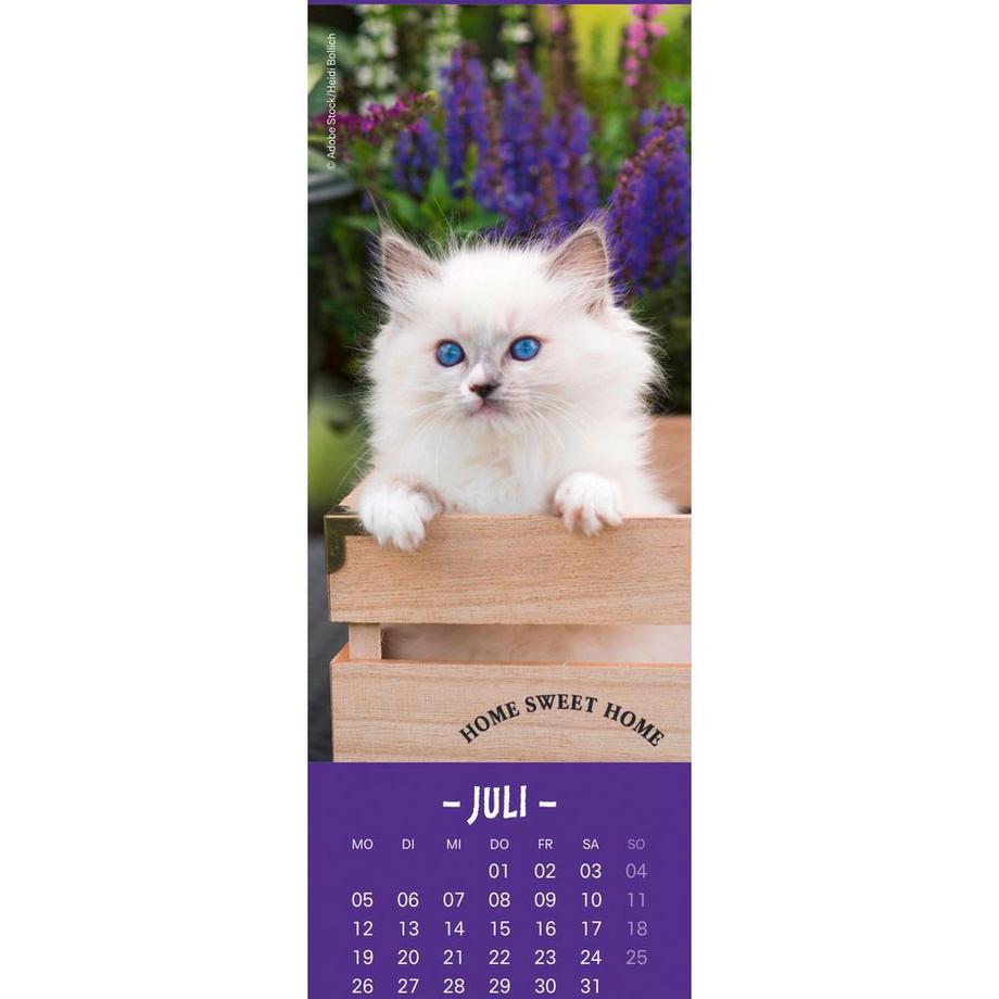 Heye Lesezeichen-Kal. Katzen 2027 21474+27 DE  