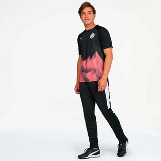 PUMA  Pantaloni Speed 