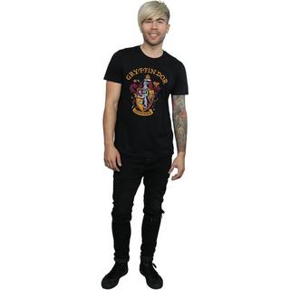 HARRY-POTTER  Tshirt 