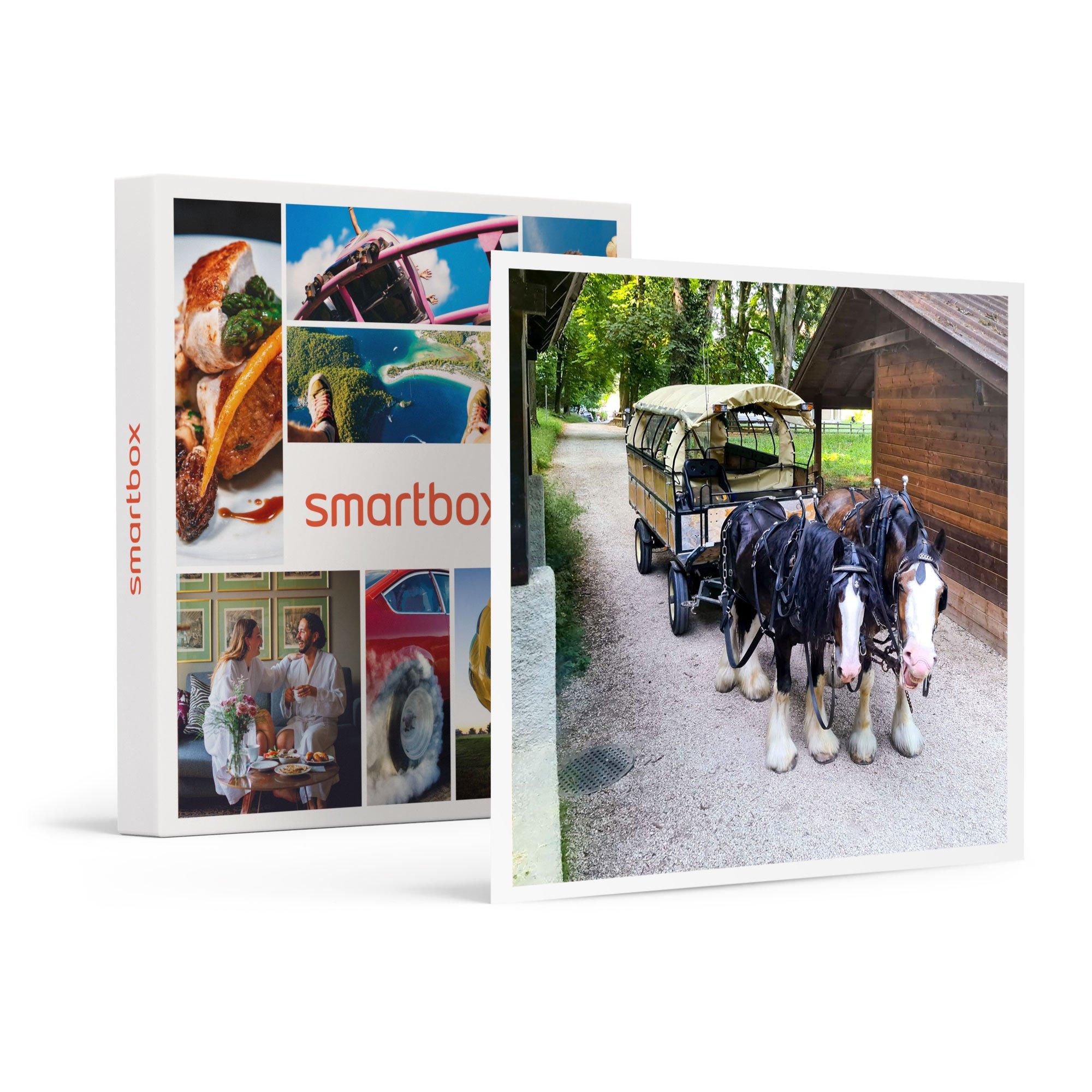 Image of Romantische Kutschfahrt Durch Die Weinberge Mit Weinverkostung - Geschenkbox Unisex