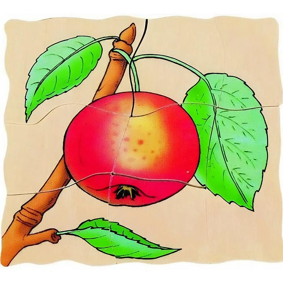 Lagen Puzzle Apfel