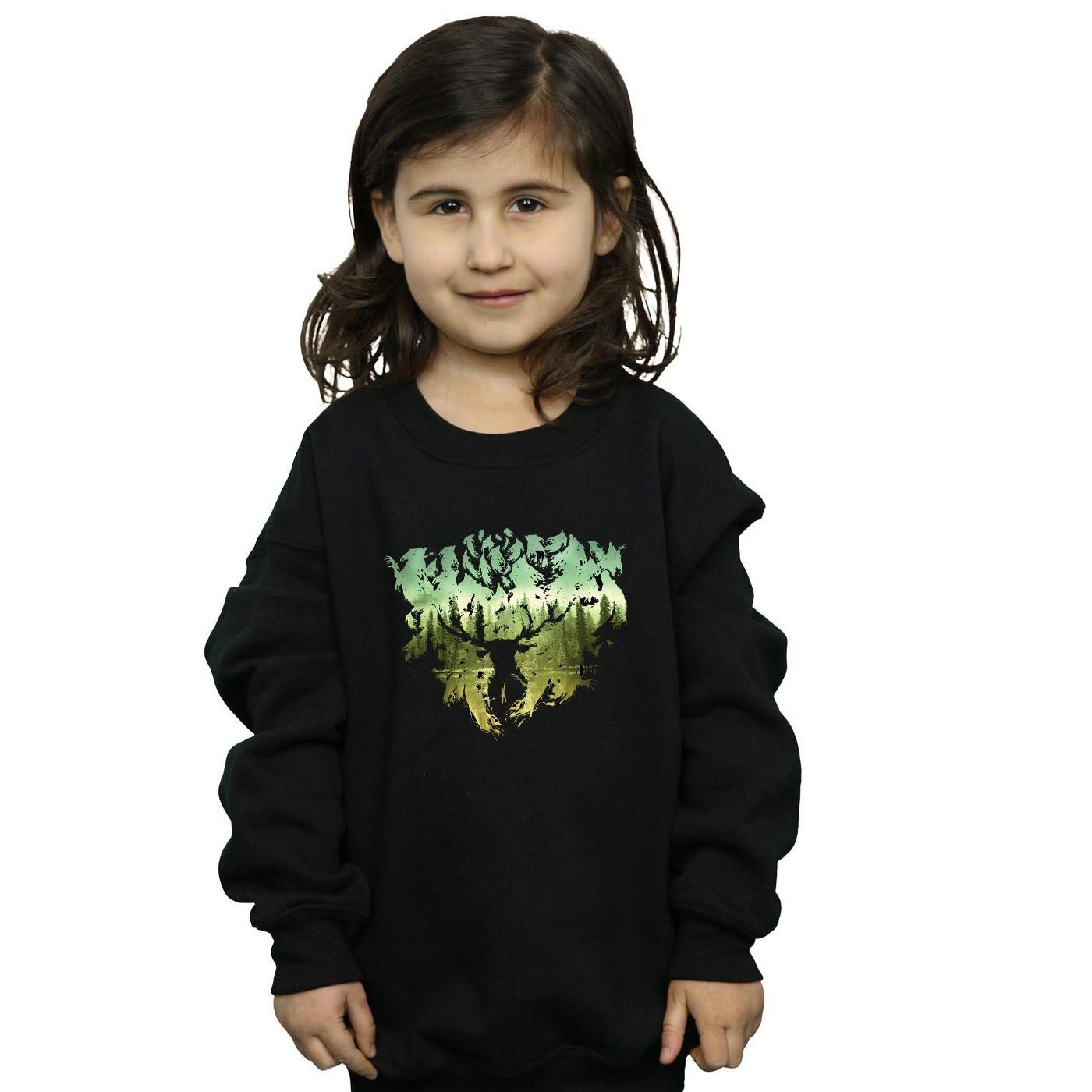 HARRY-POTTER  Sweatshirt 