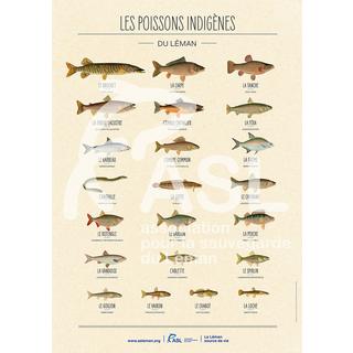 La-Jonx Bern, Kramgasse - Poster  