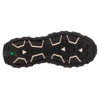 Timberland  Sneaker Winsor Trail 