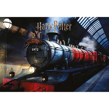 Harry Potter Puzzle 50 pièces - Poudlard Express