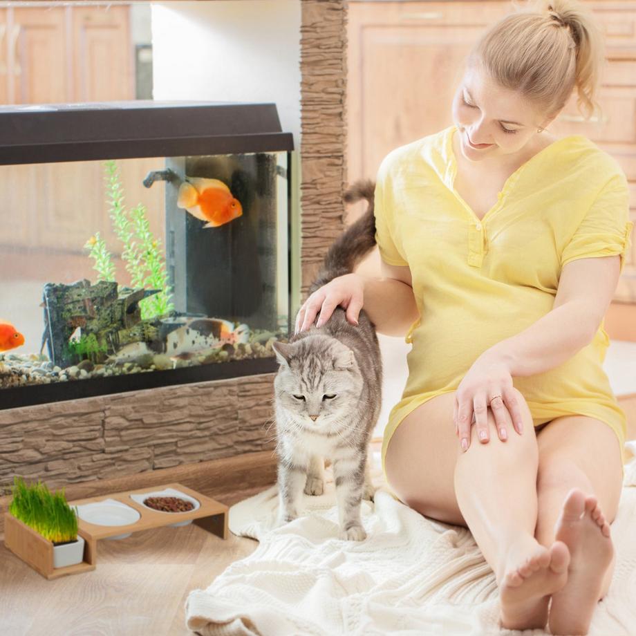 B2X  Katzenfutterstation und Katzengrasnapf 