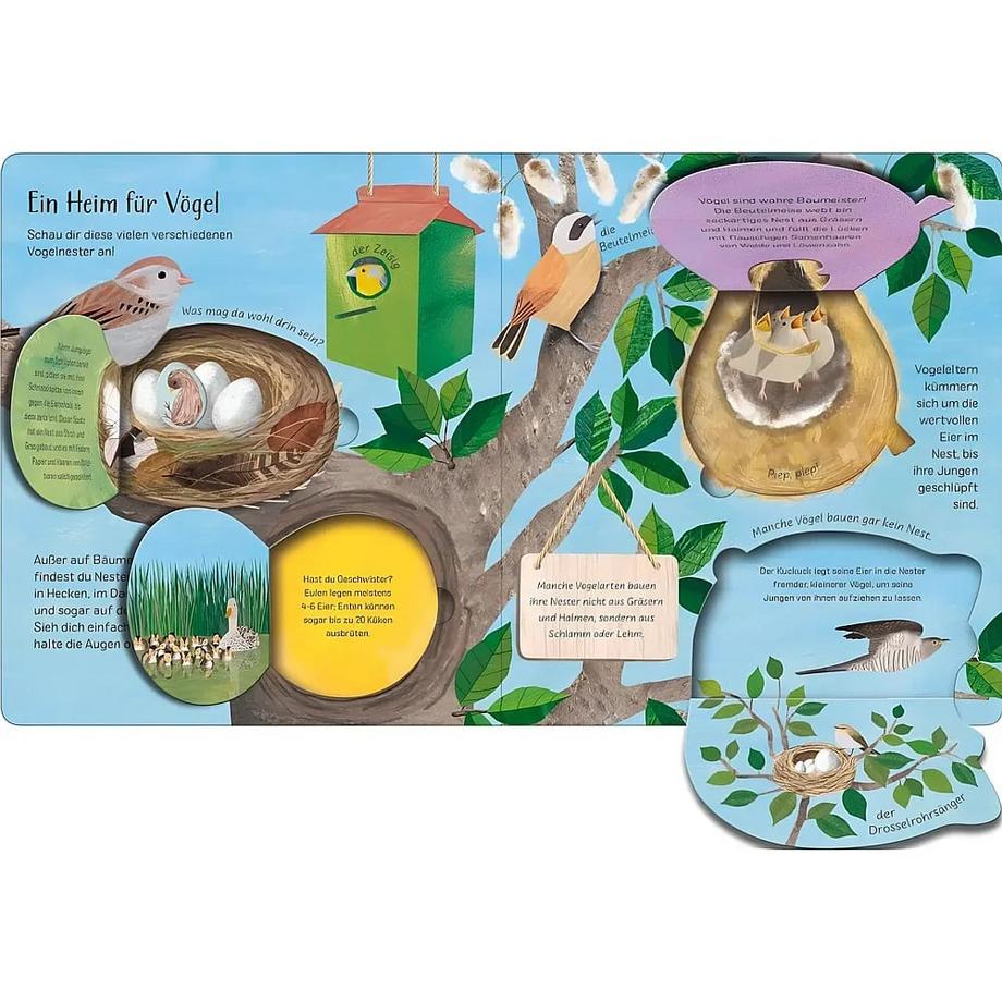 Mit einem Ei fängt alles an Davies, Becky; Pepper, Charlotte (Illustrationen); Jüngert, Pia (Übersetzung) Couverture rigide 