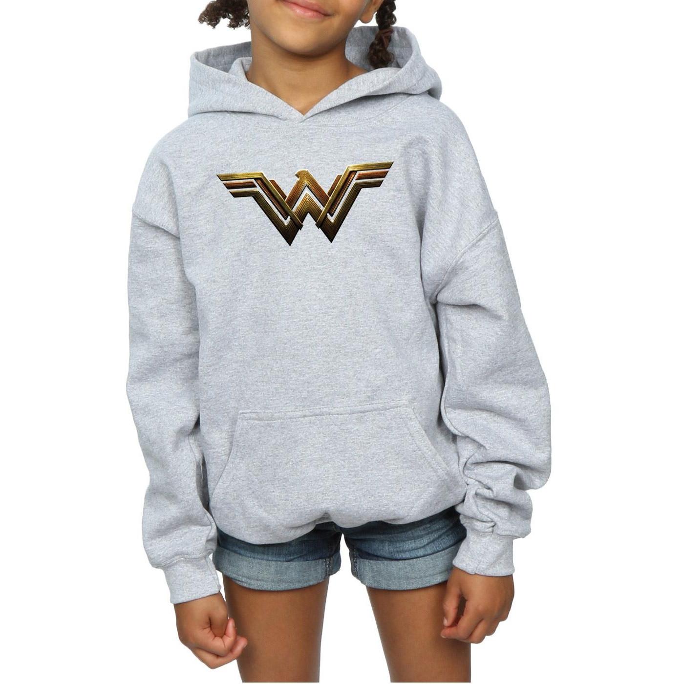 DC COMICS  Justice League Kapuzenpullover 