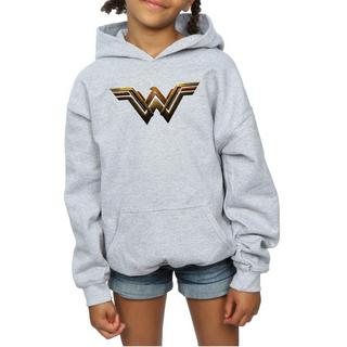 DC COMICS  Justice League Kapuzenpullover 