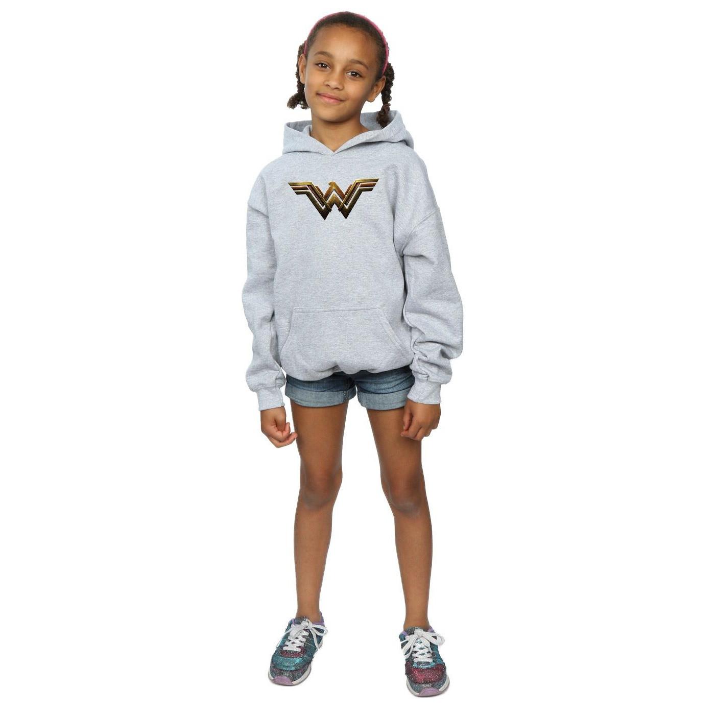 DC COMICS  Justice League Kapuzenpullover 