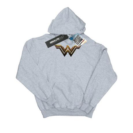 DC COMICS  Justice League Kapuzenpullover 