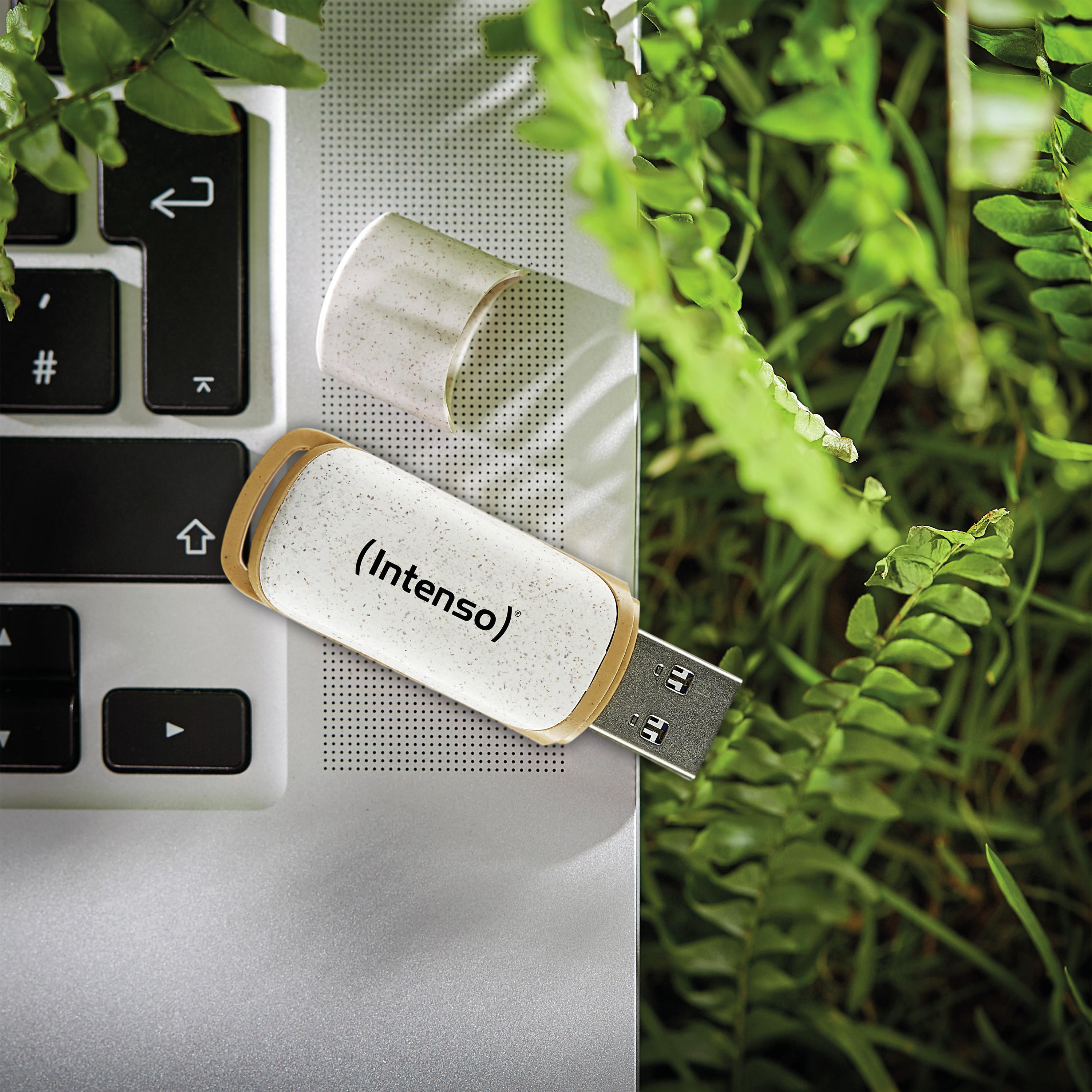 Intenso  Intenso Green Line lecteur USB flash 128 Go USB Type-A 3.2 Gen 1 (3.1 Gen 1) Beige, Marron 