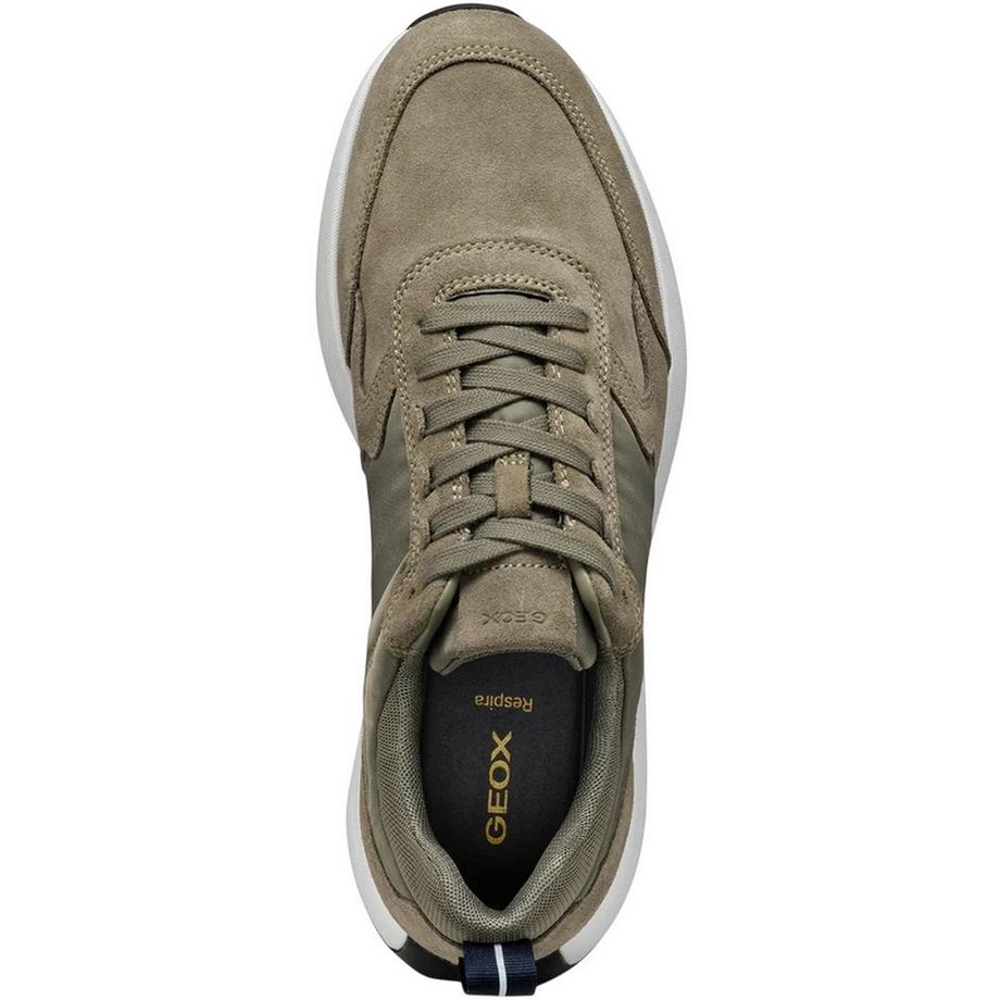 GEOX Volpiano Baskets en Daim  