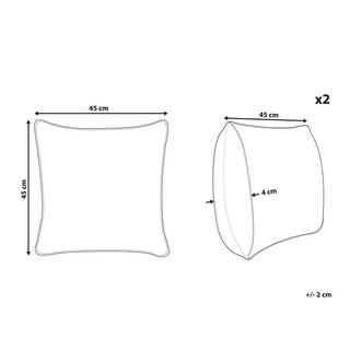 Beliani Dekokissen 2er Set aus Samtstoff Modern FOOTHILL  