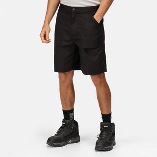 Regatta  Short 