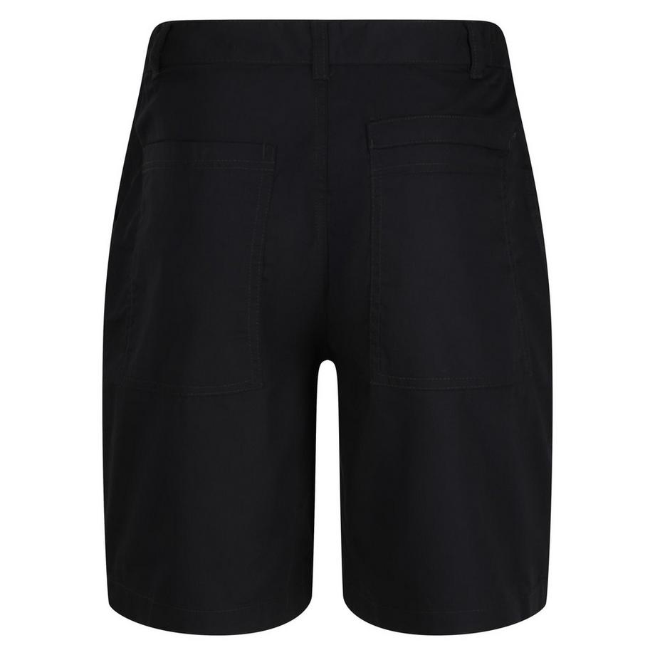 Regatta  Short 