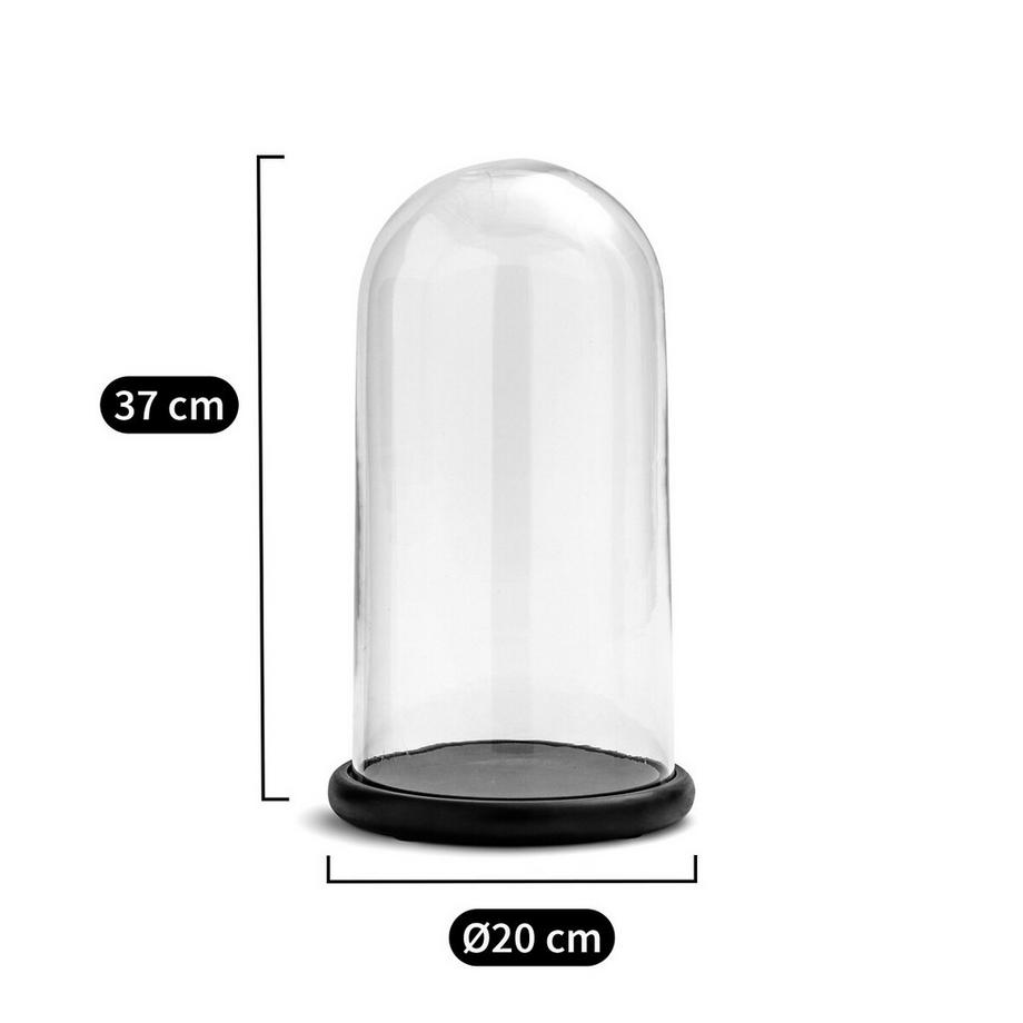 La Redoute Intérieurs Cloche en verre avec socle noir Campa  