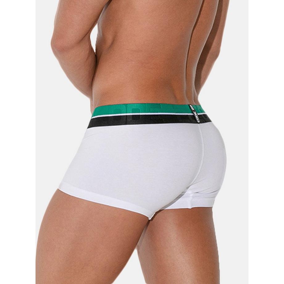 Code22 Boxer Palm Tree  