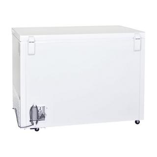 Kibernetik Gefriertruhe FSP 300 Liter ( D )  