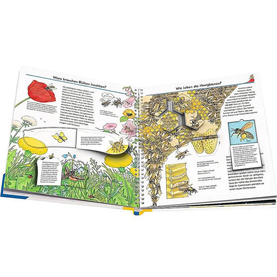 Wieso? Weshalb? Warum?, Band 39: Wir entdecken Insekten Weinhold, Angela; Weinhold, Angela (Illustrationen) Gebundene Ausgabe 