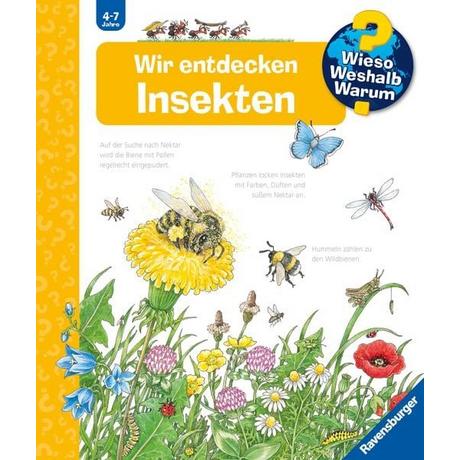 Wieso? Weshalb? Warum? Wir entdecken Insekten (Nr.39) Weinhold, Angela; Weinhold, Angela (Illustrationen) Copertina rigida 