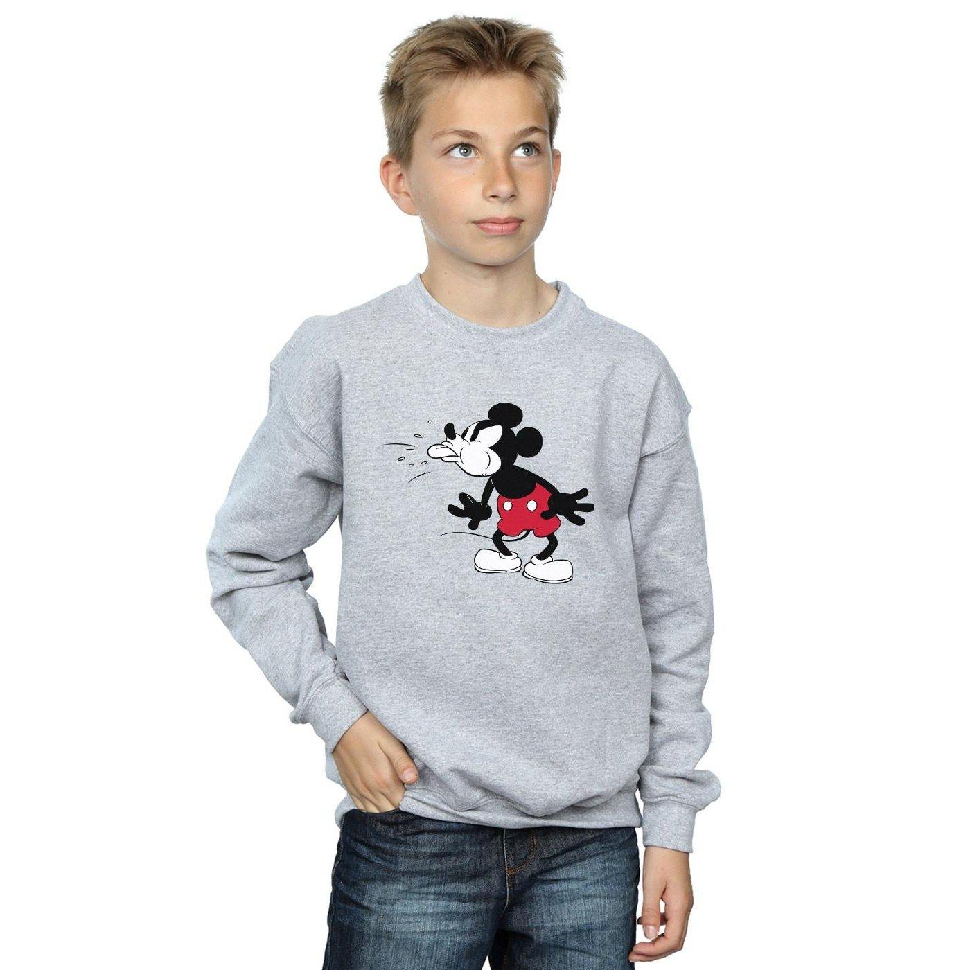 Disney  Sweatshirt 