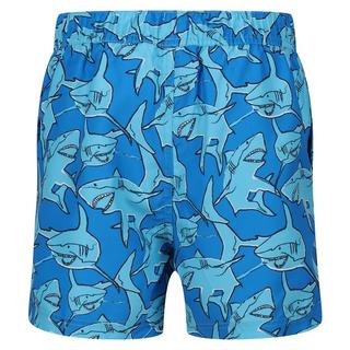 Regatta  Skander II Badeshorts 