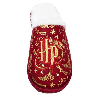 HARRY-POTTER  Chaussons brodés 