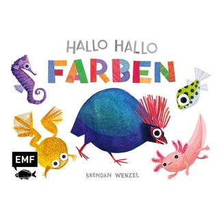 Hallo Hallo - Farben Wenzel, Brendan Gebundene Ausgabe 