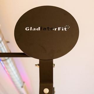 GladiatorFit  Cible en acier pour medecine ball et wall ball Ø 40cm 