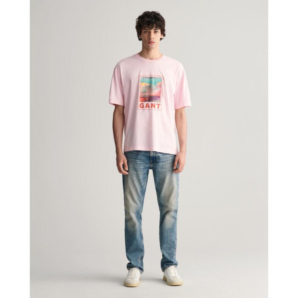 GANT  t-shirt washed graphic 