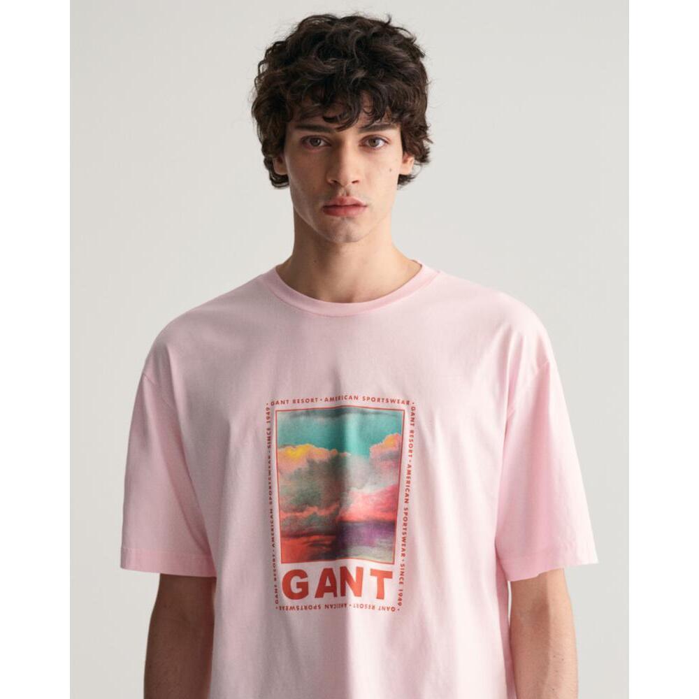 GANT  t-shirt washed graphic 